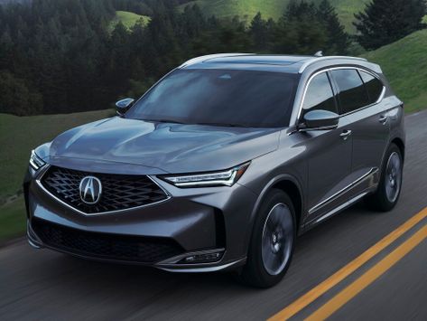 MDX, YD8, 2024