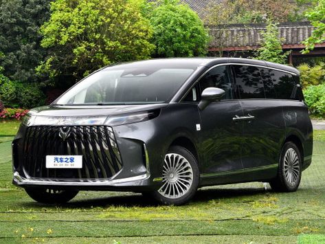 Wendao V9, 2026
