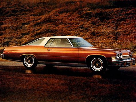 LeSabre, 1973–1974