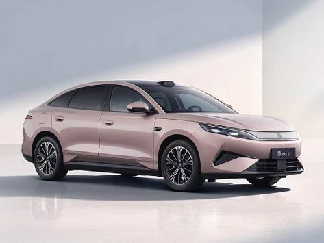 Qin Max, 2025