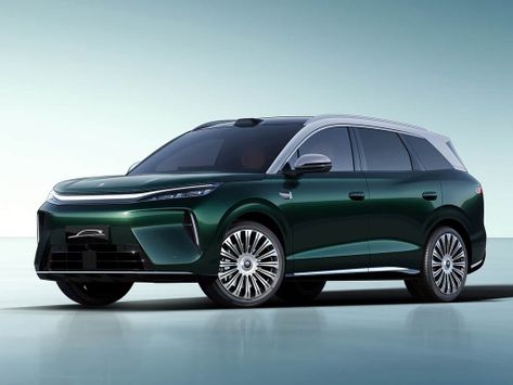 Tang, 2026