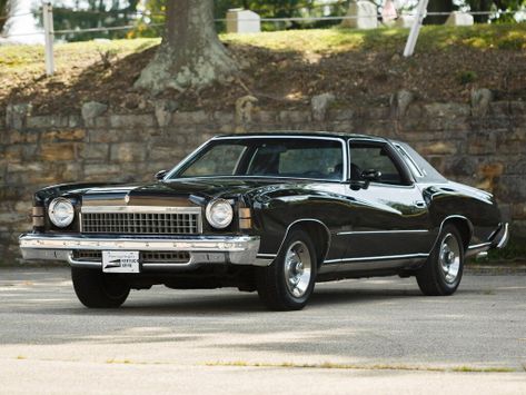 Monte Carlo, 1973–1974