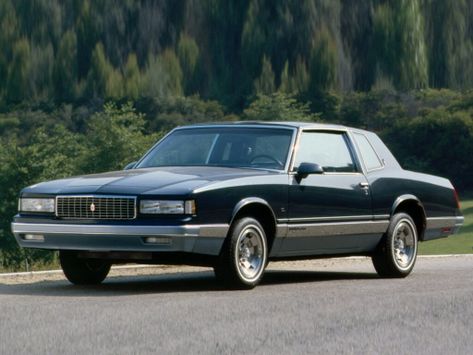 Monte Carlo, 1985–1988
