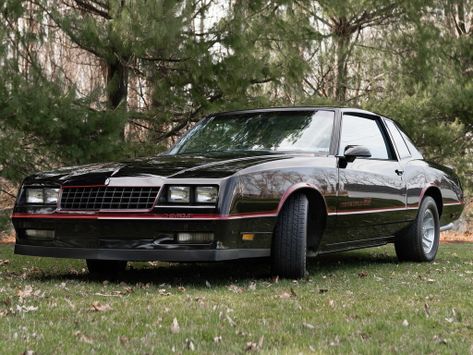 Monte Carlo, SS, 1983–1988