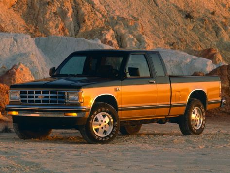 S10, 1982–1990