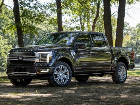 F150, P702, 2023