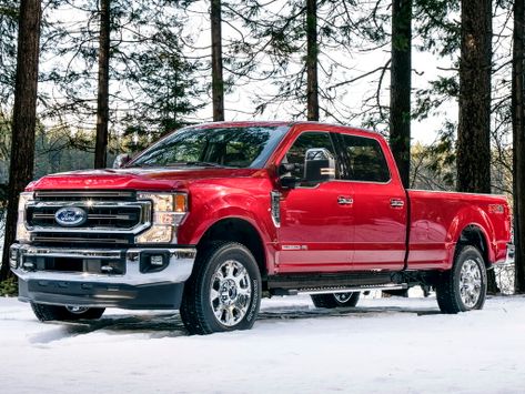 F250, P558, 2019