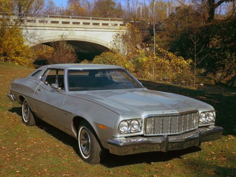 Torino, 1975–1976