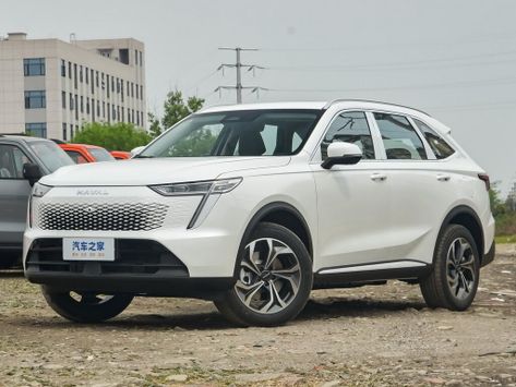 Xiaolong Max, 2023–2025