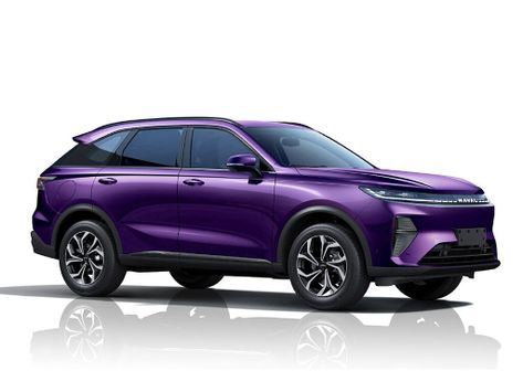 Xiaolong Max, 2025