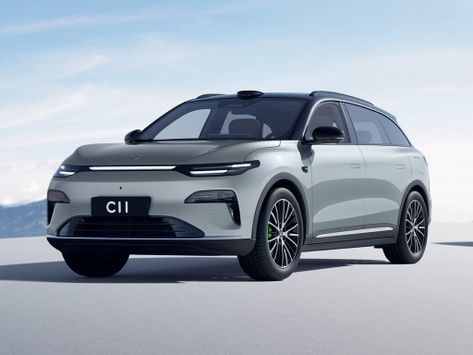 C11, 2025