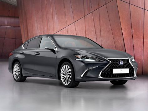 ES250, XZ10, 2021–2022
