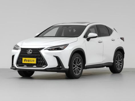 NX200, AZ20, 2021