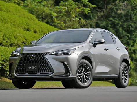 NX250, AZ20, 2021