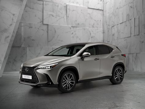 NX350, AZ20, 2021–2022