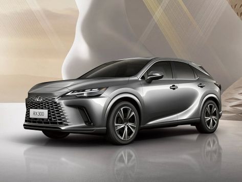 RX300, ALH10, 2023
