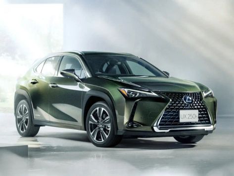 UX250h, 2018–2023