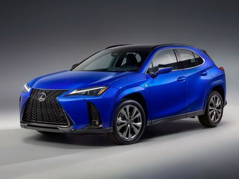 UX300h, 2023