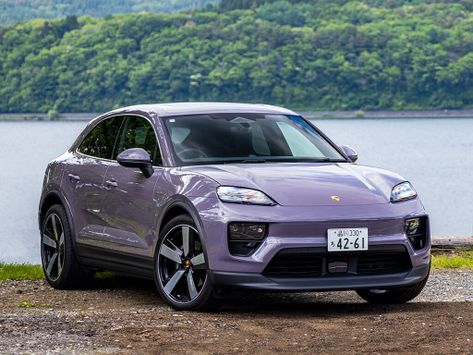 Macan, 2024