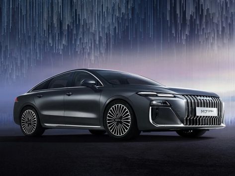 M7, 2025