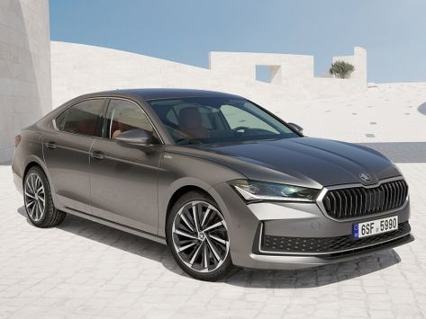 Superb, 3Y, 2023