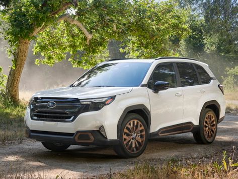 Forester, SL, 2023