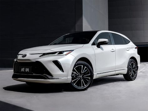 Venza, XU80, 2021