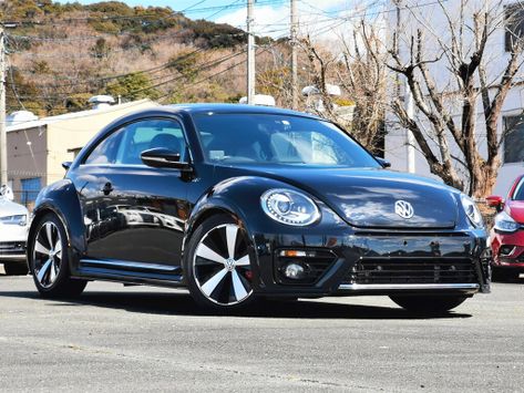 Beetle, A5, 2016–2019
