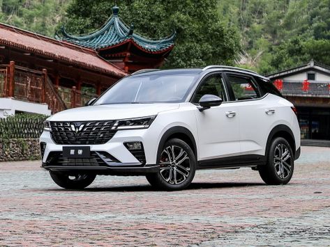 Xingchi, 310S, 2021