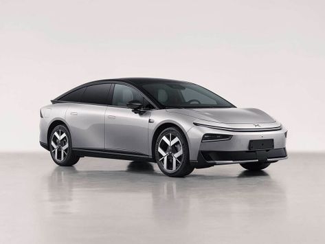 P7+, 2026